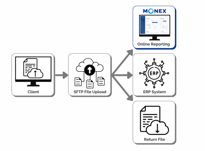 Mass payments platform for bulk upload processing